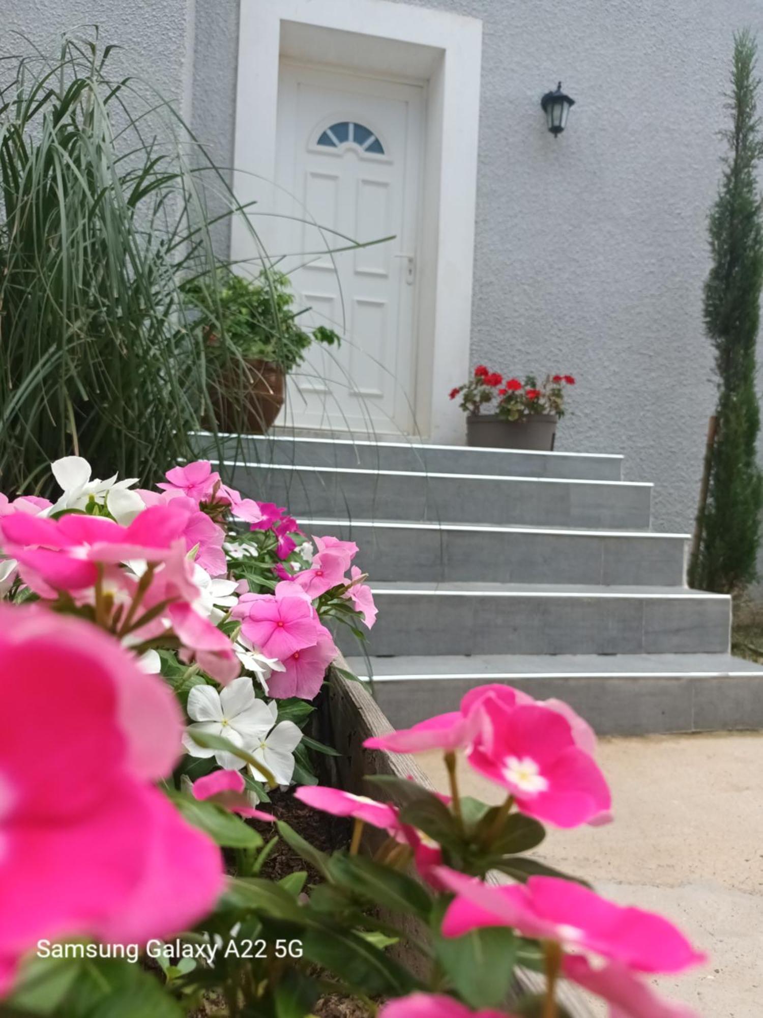 Villa San Salvador Torreilles Plage Exterior photo